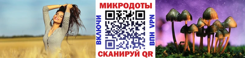 Галлюциногенные грибы Psilocybe Архангельск